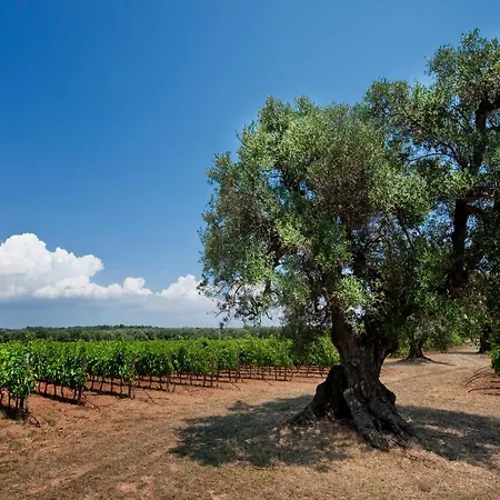 בית כפרי Masseria Le Fabriche *