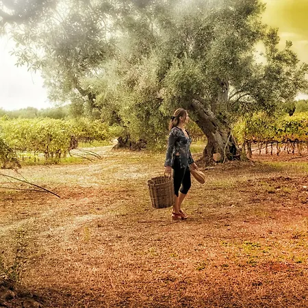 Masseria Le Fabriche * מארוג'ו