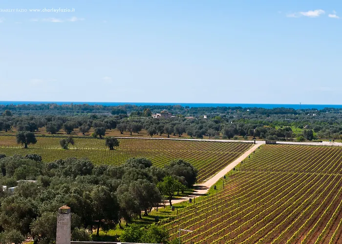 منزل ريفي Masseria Le Fabriche