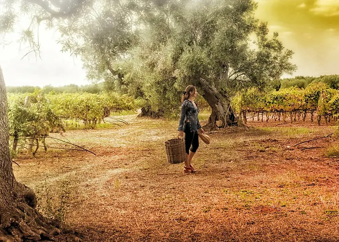 Masseria Le Fabriche * Maruggio